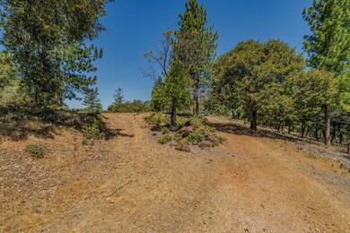 20117 Neilson Rd, Pine Grove, CA 95665 - photo 5