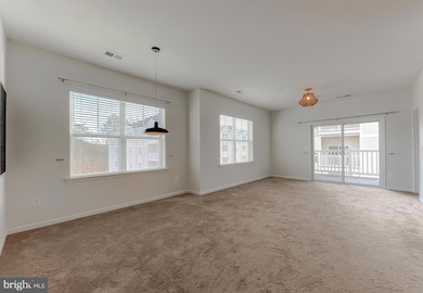 23540 F D R Blvd unit 303, California, MD 20619 - photo 2