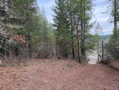 0 E Evans Creek Rd unit 10149540, White City, OR 97503 - photo 7