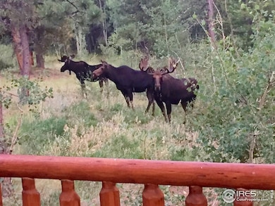 747 Coyote Hill Rd, Allenspark, CO 80510 - photo 3