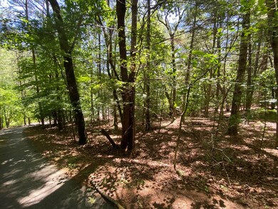 00 Ruby Cir, Franklin, NC 28734 - photo 4