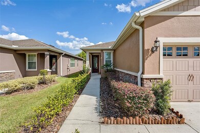 22020 Belgian Ct, Mount Dora, FL 32757 - photo 5