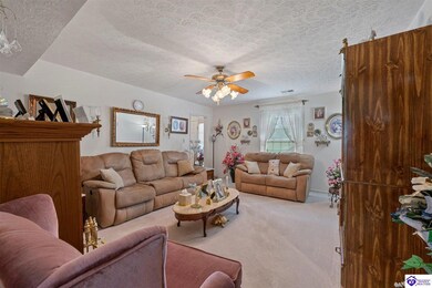 140 Fountain View Dr, Leitchfield, KY 42754 - photo 4