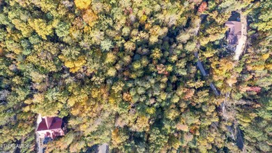 0 Sulpher Springs Way unit 1280694, Sevierville, TN 37862 - photo 3