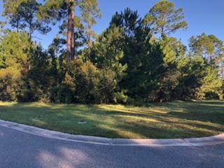 14 Ruddyduck Ct, Brunswick, GA 31523 - photo 2