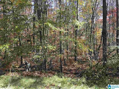 000 Springhollow Dr, Ashville, AL 35953 - photo 5