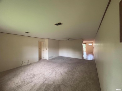 920 17th St, Moline, IL 61265 - photo 4