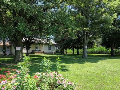 House setting 
