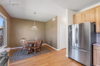 16862 Buffalo Valley Path, Monument, CO 80132 - photo 4