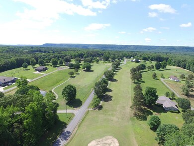 175 Riverland Dr, Heber Springs, AR 72543 - photo 3