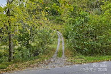 348 Chandler Creek Rd, Mars Hill, NC 28754 - photo 3