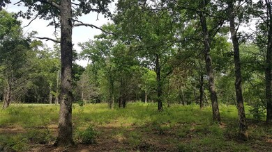 Lot 85 Riner Rd, Pottsboro, TX 75076 - photo 3