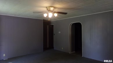 708 W Poplar St, Harrisburg, IL 62946 - photo 4