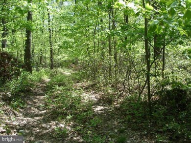 0 Three Turn Rd unit 1003987076, Shippensburg, PA 17257 - photo 3