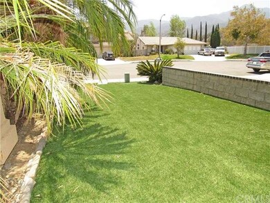 Newly Installed Low Maintenance Artificial Turf