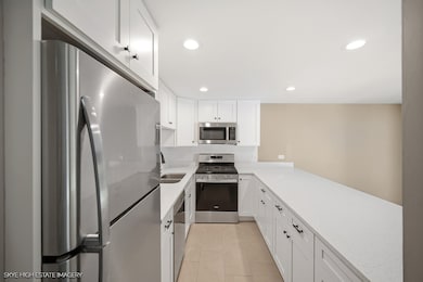 19 Cour Leroux, Palos Hills, IL 60465 - photo 5