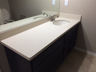 Master Vanity Quartz Caesarstone Counter and inclu