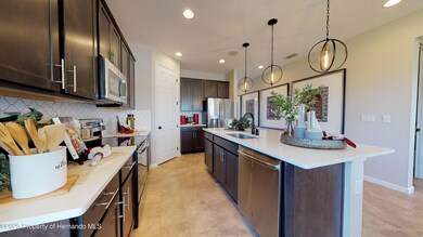 9210 Players Dr, Weeki Wachee, FL 34613 - photo 3