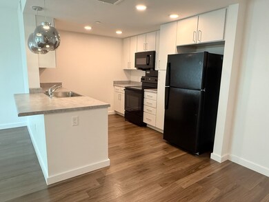 466 River St unit 623, Mattapan, MA 02126 - photo 2