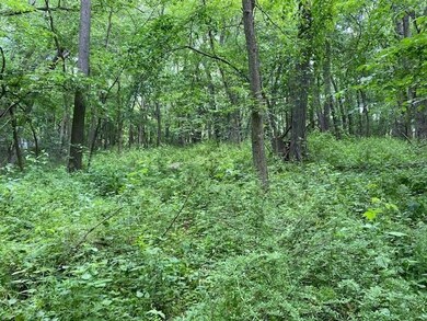 5 Ac Sunrise Rd, Rutland, WI 53575 - photo 7