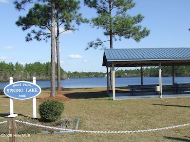 BOILING SPRING LAKES  (12)