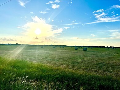Lot 5 Roesler Rd, Needville, TX 77461 - photo 3