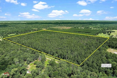 TBD Pr 1335 unit TRACT 2, Marshall, TX 75672 - photo 2