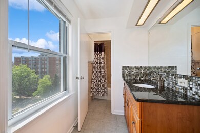 1101 Grove St unit 7A, Evanston, IL 60201 - photo 7