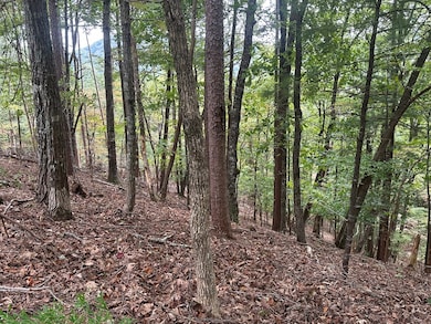 Lot A28 Laurel Ridge Dr, Ellijay, GA 30536 - photo 5