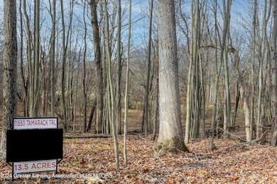 11550 Tamarack Trail, Bath, MI 48808 - photo 4