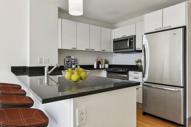 Sierra & Tango Condominiums unit T714, Cambridge, MA 02141 - photo 6