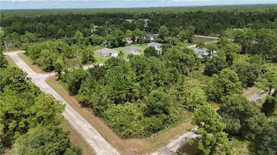 1031 Card St E, Lehigh Acres, FL 33974 - photo 4