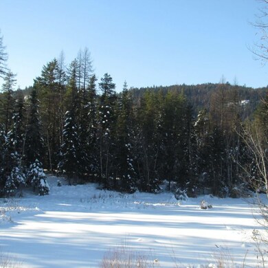 12629 Crane Mountain Rd, Bigfork, MT 59911 - photo 5