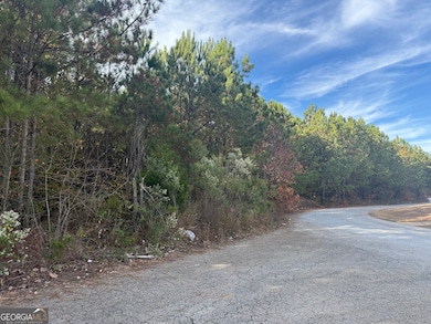 8626 Webb Rd, Riverdale, GA 30274 - photo 4