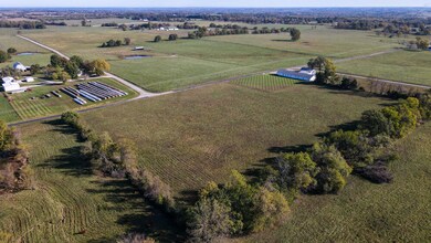 000 County Road 2000, Everton, MO 65646 - photo 6