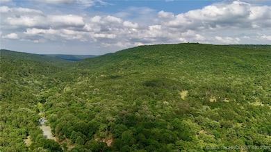 003 E Bolen Hollow W, Pittsburg, OK 74560 - photo 2