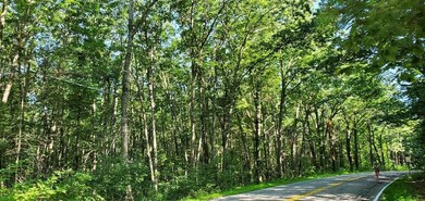 20190811_090729_resized