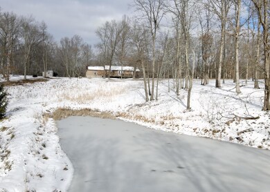 4. Rear Pond to House