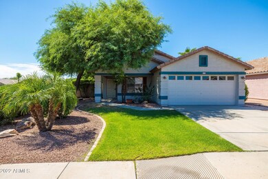 2-web-or-mls-7D3A6511