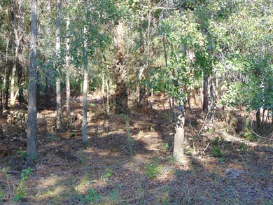 DSC06315