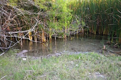 00 Cr 104, San Diego, TX 78384 - photo 6