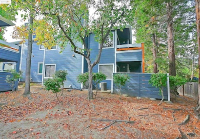 Rear view of property