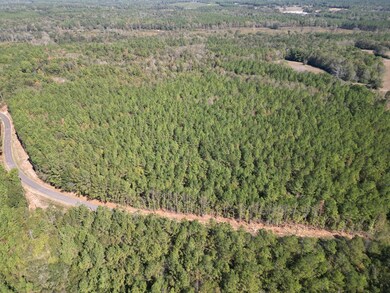 XXX Conerly Dr, McComb, MS 39648 - photo 6