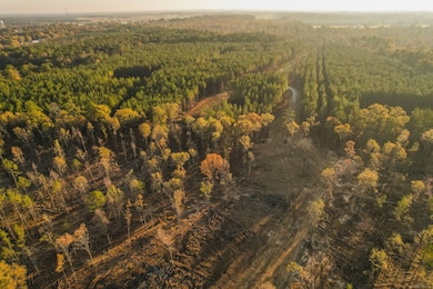 0 Sand Hill Rd unit 11389907, Brandon, MS 39047 - photo 5