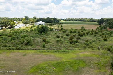 Back View of Property