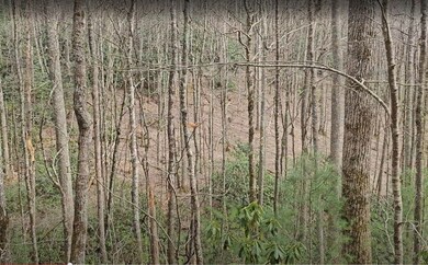 0 Falls Rd unit 1000715, Scaly Mountain, NC 28775 - photo 7