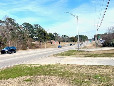 00 Martin Luther King Junior Expy, Carolina, AL 36420 - photo 2