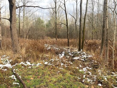 0 County Road 15 unit S1651526, Granger, NY 14735 - photo 2