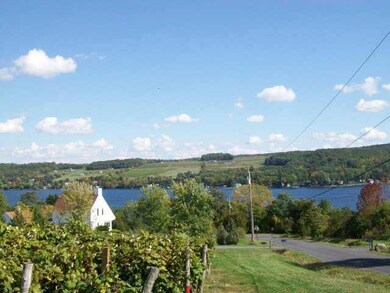 View. from road looking toward the lake - build in