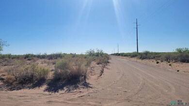 000 SW Majestic View Rd, Deming, NM 88030 - photo 5